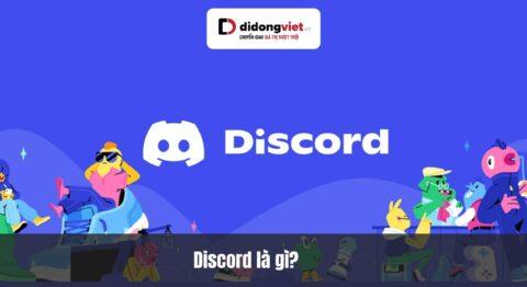 Discord là gì? Hướng dẫn từ A-Z cách sử dụng và tối ưu trên điện thoại, máy tính
